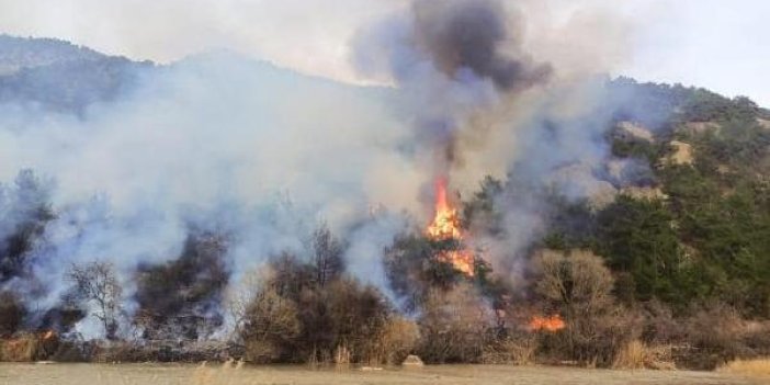 Çorum’da 2 orman yangını. 11 hektar alan zarar gördü