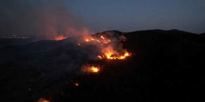 Sultan Sazlığı Milli Parkı'nda yangın çıktı