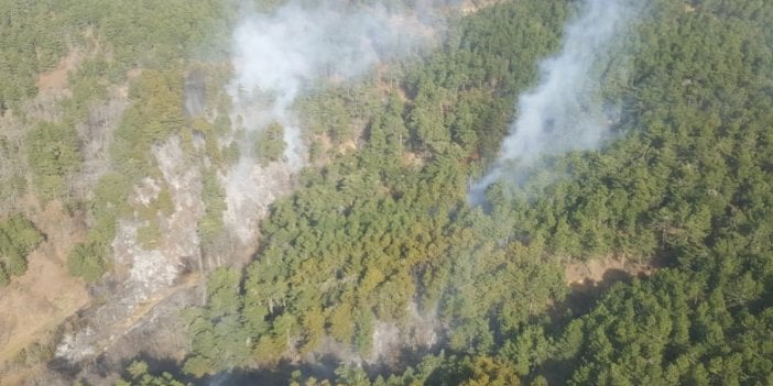 İzmir'de ormanlık alandaki yangın kontrol altında