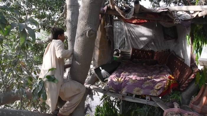 Geçim derdine çareyi böyle buldu, Tarzan Ali 8 yıldır ağaçta yaşıyor