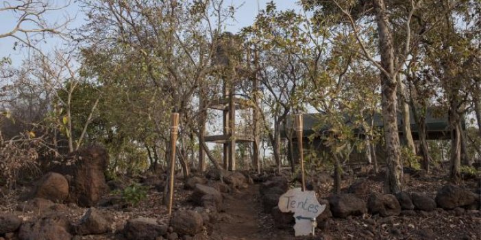Benin'de ulusal parka bombalı saldırı: 5 asker öldü