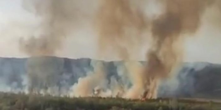 Ermenistan'da orman yakıldı alevler Türkiye sınırına dayandı