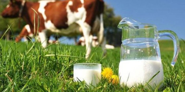 Süt üretimi arttı ancak fiyatlarda gerileme yok