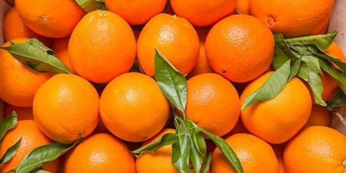 Rusya'dan Türkiye kararı biber portakal ihracatında kısıtlamalar kaldırıldı