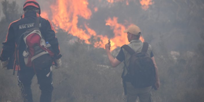 Bodrum’daki orman yangını 6 saat sonunda kontrol altına alındı