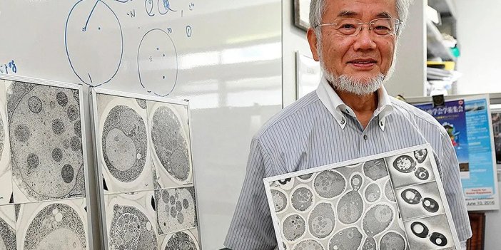 Nobel ödüllü Ohsumi orucun faydalarını bilimsel kanıtladı