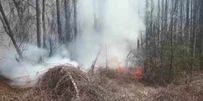 Ormanlık alanın yanı başında yangın çıktı