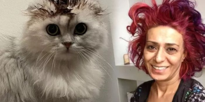 Yıldız Tilbe kedisinin tüylerini boyadı! Sosyal medya ayağa kalktı