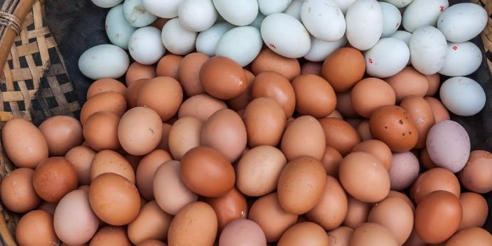 Yumurtalar neden rengine göre farklı fiyata satılır? Kahverengi yumurta beyazdan neden daha pahalı