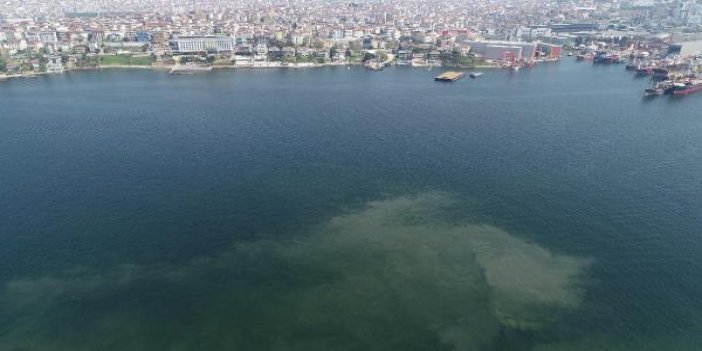 Havadan görüntülendi kabus İstanbul sahillerine geri mi dönüyor sorusu gündeme geldi