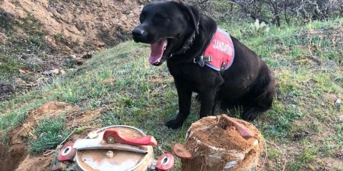 2 düdüklü tencereden 40 kilogram el yapımı patlayıcı çıktı