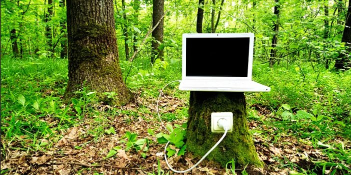 Gelecekte elektronik eşyalar ağaçta üretilebilir