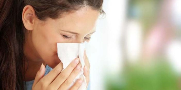 Polen alerjisine karşı alınabilecek önlemler