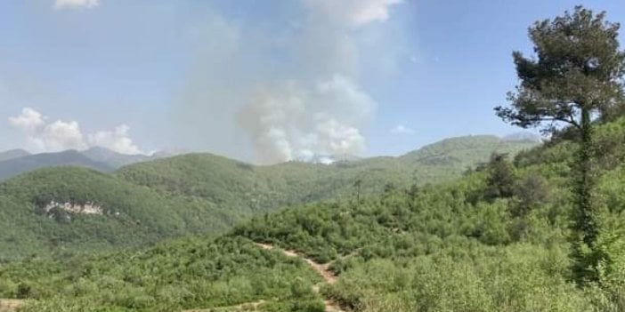 Hatay'da çıkan orman yangını söndürüldü