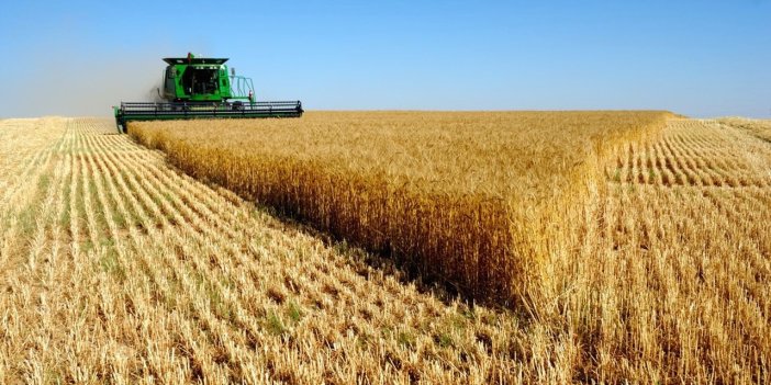 Buğday krizi kapıda. 700 bin ton tahıla ne oldu