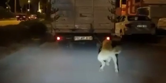 Köpeği kamyonun arkasına bağlayan cani sürücü pes dedirtti. Hiç mi vicdanın sızlamadı?