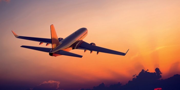 Yurt içi uçuşlar durdurulmuştu... Nijerya Hava Yolları'ndan yeni açıklama