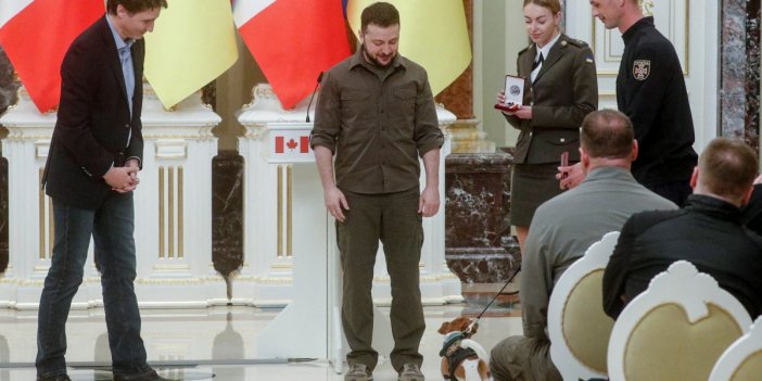 Ukrayna Devlet Başkanı Zelenskiy köpeğe devlet nişanı verdi