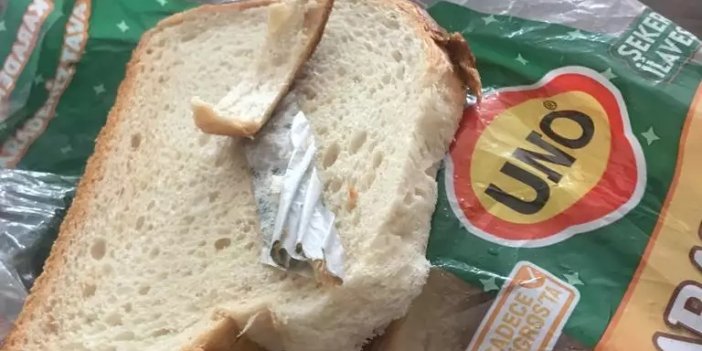 El değmeyen ekmekten bakın ne çıktı! Gazeteci Ebru Dizdaroğlu başına geleni böyle anlattı