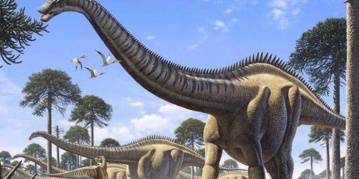 Eski çağlarda yaşamış olan hayvanlar neden çok büyük boyuttalardı?