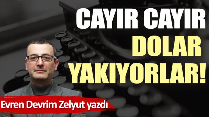 Cayır cayır dolar yakıyorlar!