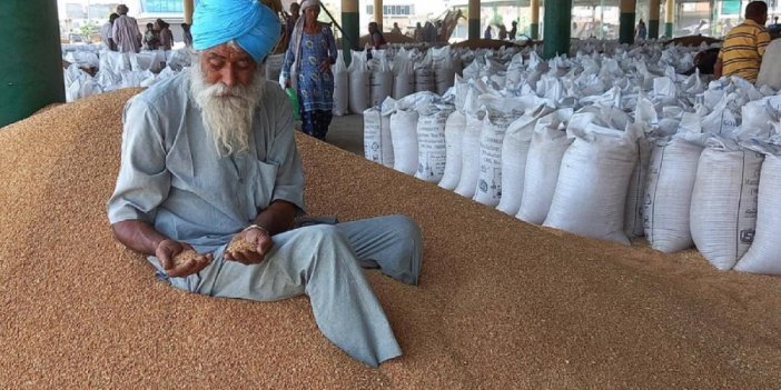 Hindistan'da buğday ihracatı yasaklandı