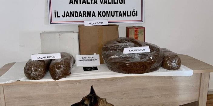 Antalya'da uyuşturucu madde ve tütün kaçakçılığı operasyonu