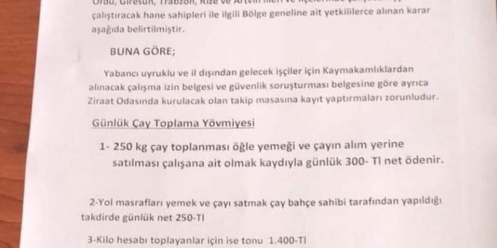 Türk milleti işsizlikle boğuşurken, yabancılara özel iş ilanı