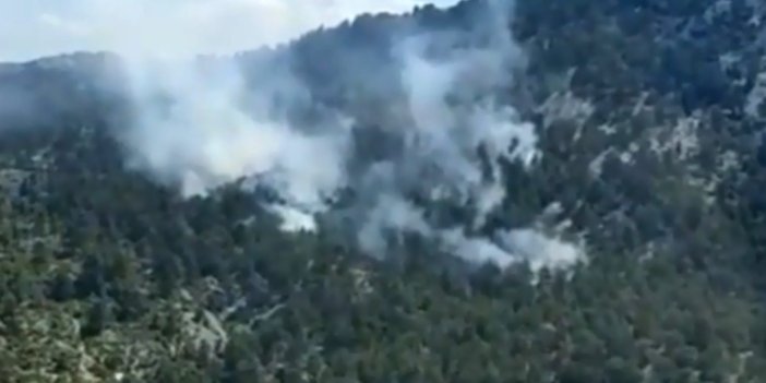 Antalya'da iki noktada orman yangını
