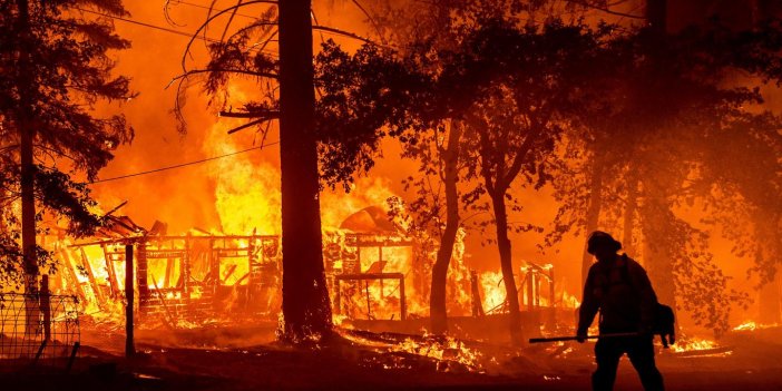 Orman yangınları neden olur? Hangi önlemler alınmalı?