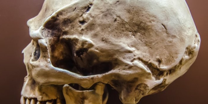 Nehirde 8000 yıllık kafatası bulundu. Ölüm nedeni...