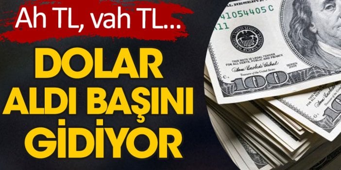 Ah TL, vah TL! Dolar aldı başını gidiyor