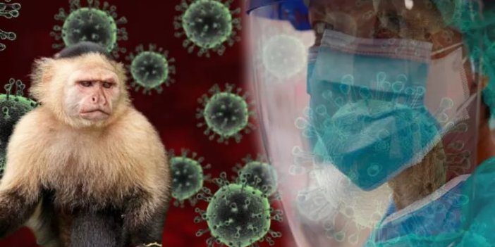 Prof. Dr. Esin Davutoğlu Şenol’dan korkutan maymun virüsü açıklaması