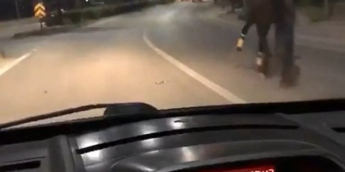 Trafikte atla yarıştı, araç sürücüsü ise spiker gibi anlattı. 100 beygir tek beygire karşı