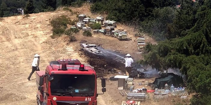 İzmir'de orman yangını