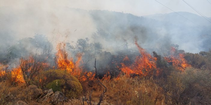 Dalanman'da orman yangını