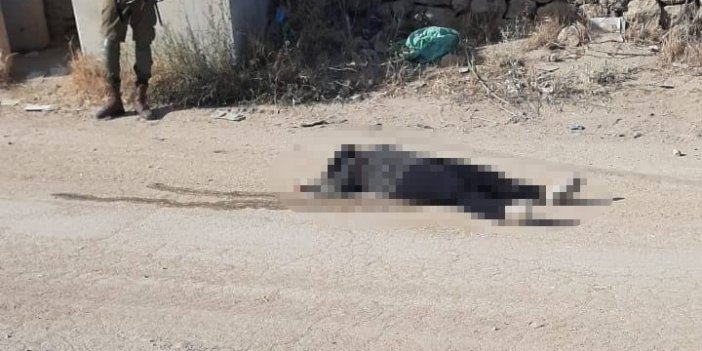 İsrail Filistinli bir kadını öldürdü