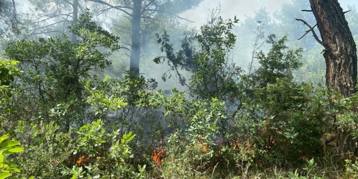 Ormanlık alana düşen yıldırım yangın çıkardı