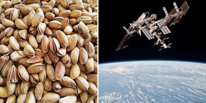 NASA astronotları şok oldu. Uzayda fıstık kabukları buldular. Yiyip yiyip dünyayı izlemişler
