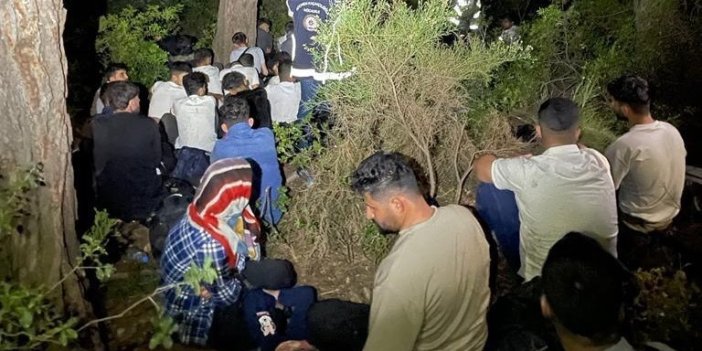Muğla’da 81 kaçak göçmen ve 6 göçmen kaçakçısı yakalandı