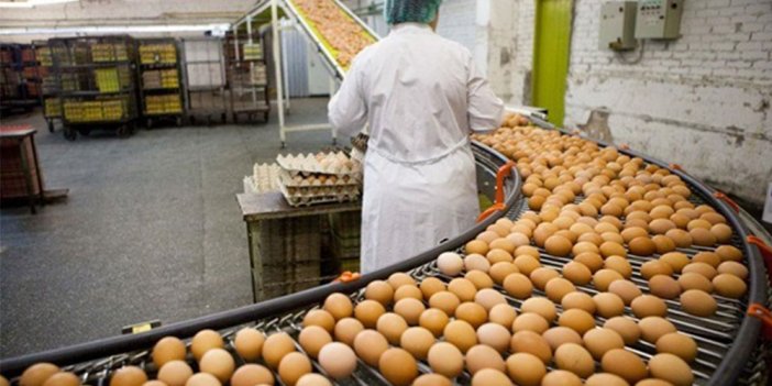 Yumurtacılar Rekabet Kurulu'na meydan okudu''önce maliyetleri araştırsınlar''