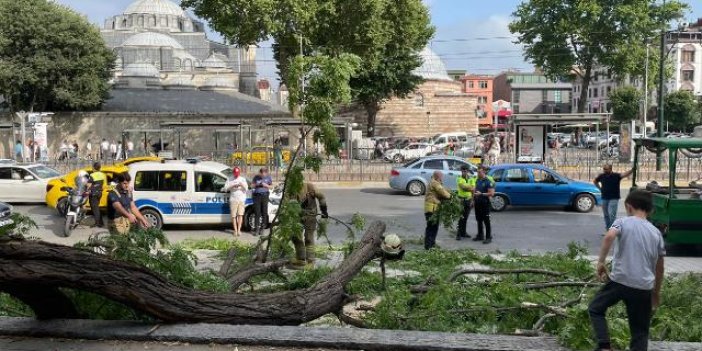 Beyoğlu'nda bir ağacın devrilmesi sonucu yaralanan 3 kişi hastaneye kaldırıldı