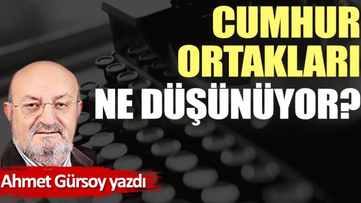 Cumhur ortakları ne düşünüyor?