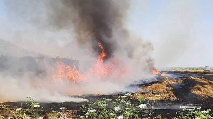 Buğday tarlasında korkutan yangın (05 Haziran 2022)