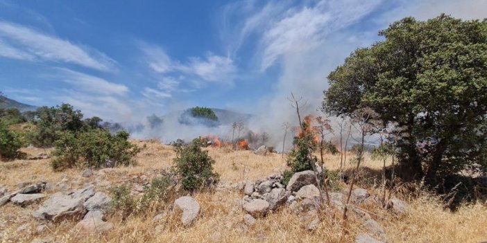 Bodrum’daki yangın 3 saatlik çalışmayla söndürüldü. 8 hektar alan zarar gördü