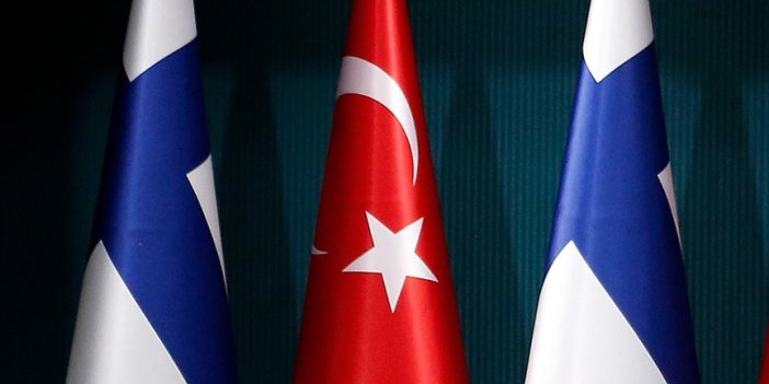 Fin bakandan Türkiye ile iş birliği açıklaması