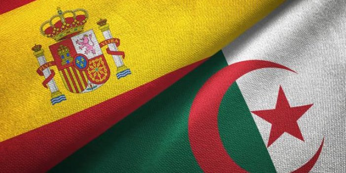 Cezayir, İspanya ile 20 yıllık dostluk anlaşmasını askıya aldı