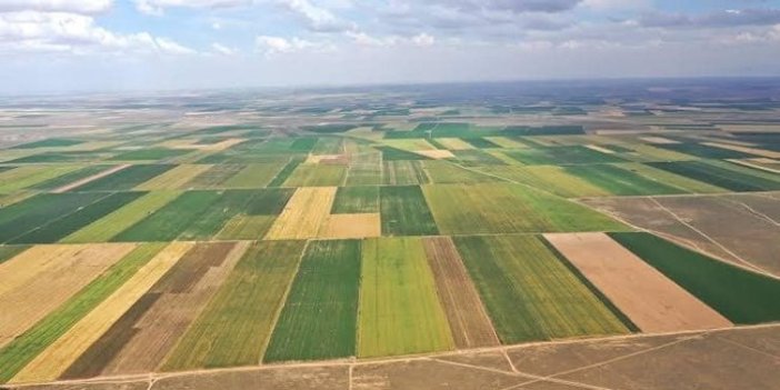 Gaziantep Şehitkamil’de icradan satılık tarım arazisi