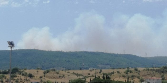 İzmir'de orman yangını