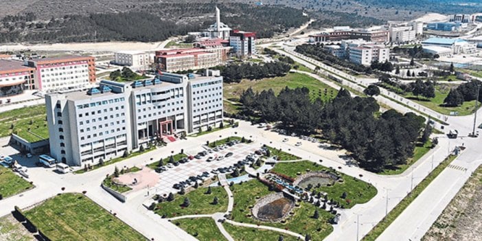 Balıkesir Üniversitesi öğretim üyesi alım ilanı verdi